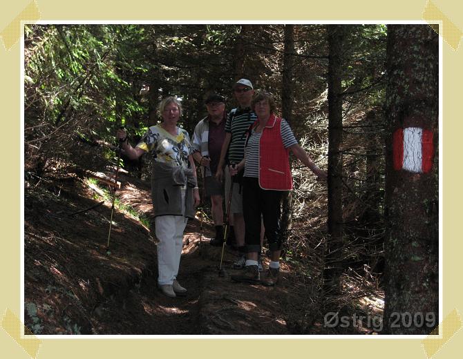 Næste billede
