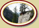 IMG_0958 * 3888 x 2592 * (3.49MB)