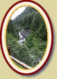 IMG_1023 * 3888 x 2592 * (5.24MB)