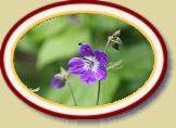 IMG_1039 * 3888 x 2592 * (2.98MB)