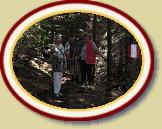 IMG_1566 * 3072 x 2304 * (2.39MB)