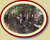 IMG_1567 * 3072 x 2304 * (3.36MB)